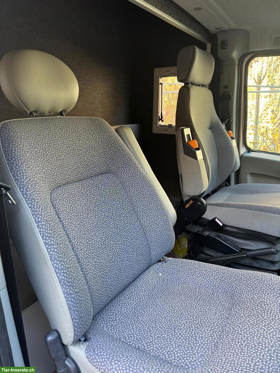 Bild 6: Opel Movano Pferdetransporter mit Böckmann Aufbau