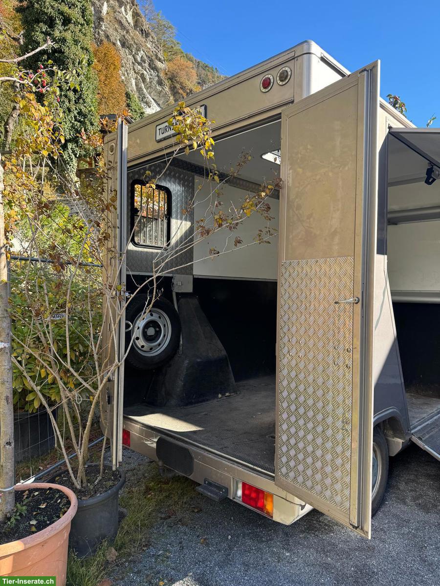 Bild 7: Opel Movano Pferdetransporter mit Böckmann Aufbau