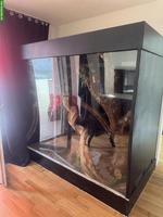 Grosses Terrarium zu verkaufen