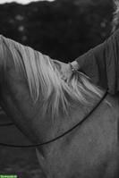 Weil es manchmal gar nicht viel braucht: Training für dich