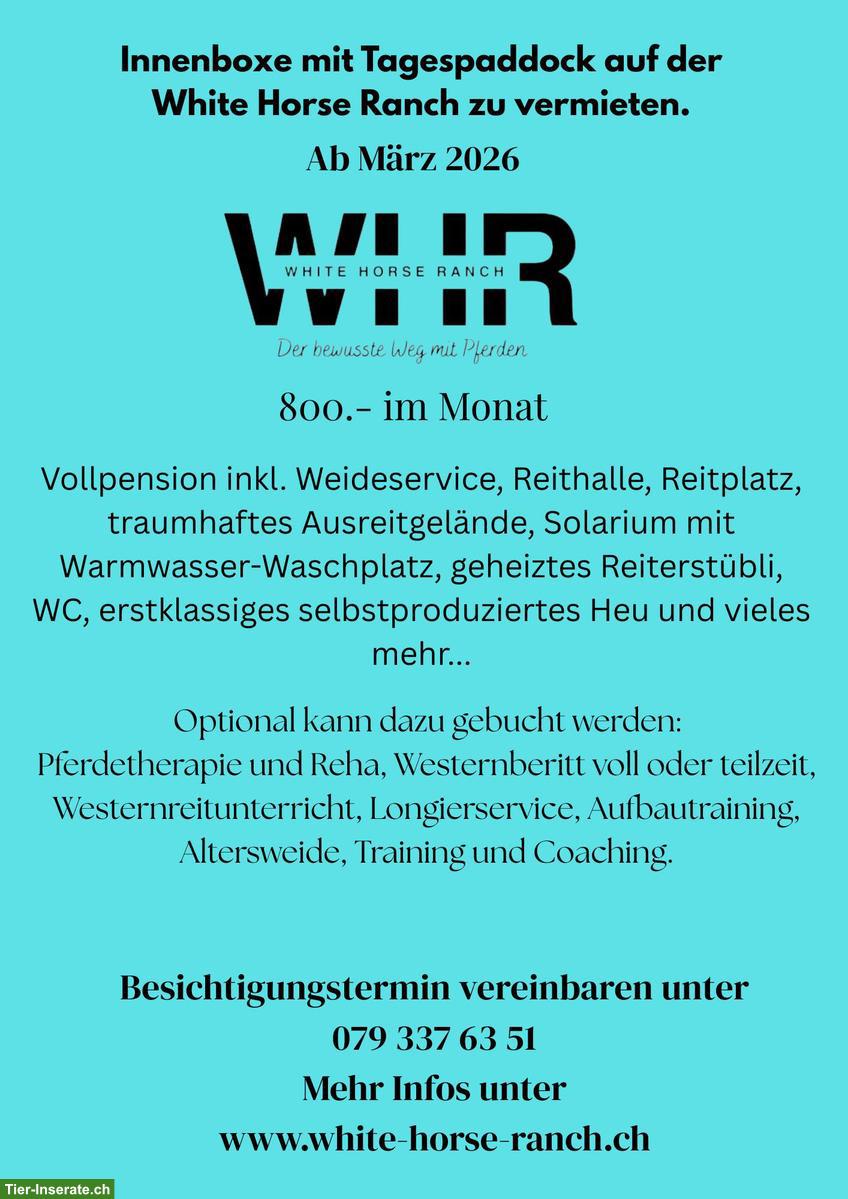 Bild 2: Innenboxe mit Tagespaddock in Westernreitstall zu vermieten