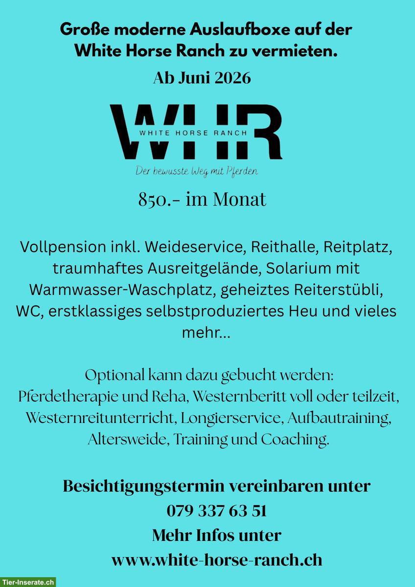 Bild 2: Moderne Auslaufboxe in Westernreitstall zu vermieten