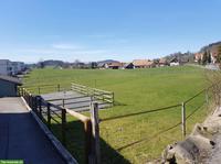 Toller Offenstallplatz frei in Hausen am Albis ZH, Selbstversorger