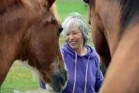 GESUCHT: Fachperson pferdegestützte Intervention für Stallgemeinschaft