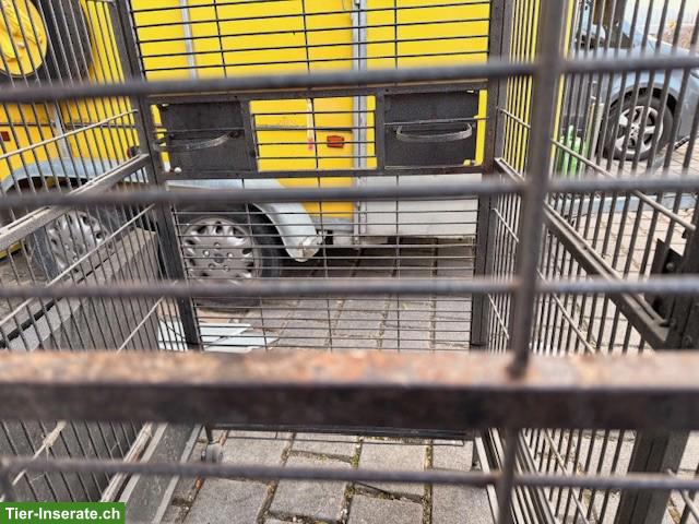 Bild 2: Grosser Vogelkäfig / Vogelvoliere zu verkaufen