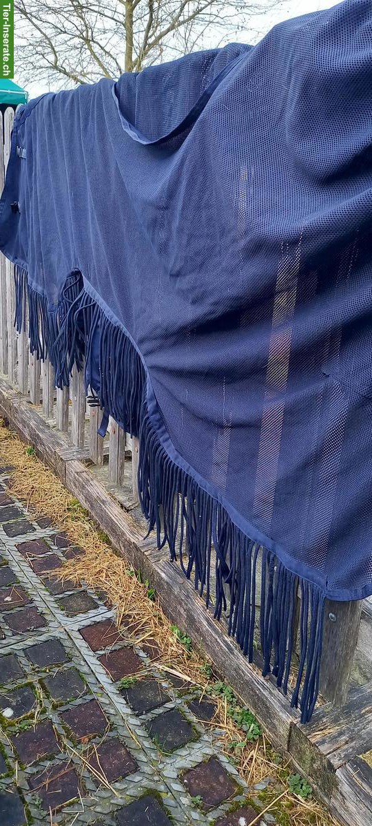 Ausreit-Fliegendecke, Fliegenausreitdecke, Stalldecke