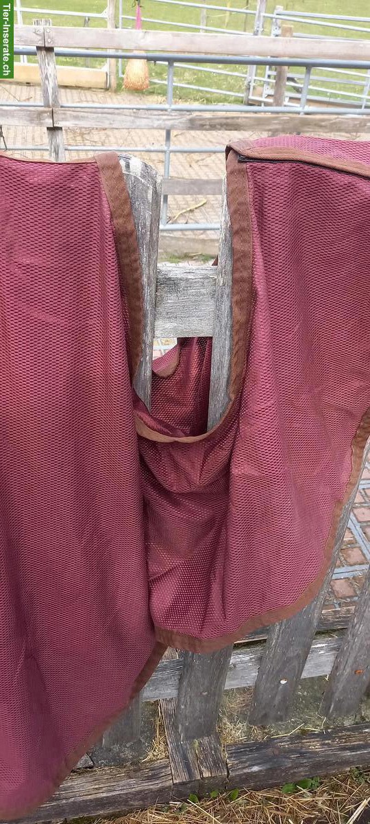 Bild 2: Ausreit-Fliegendecke, Fliegenausreitdecke, Stalldecke