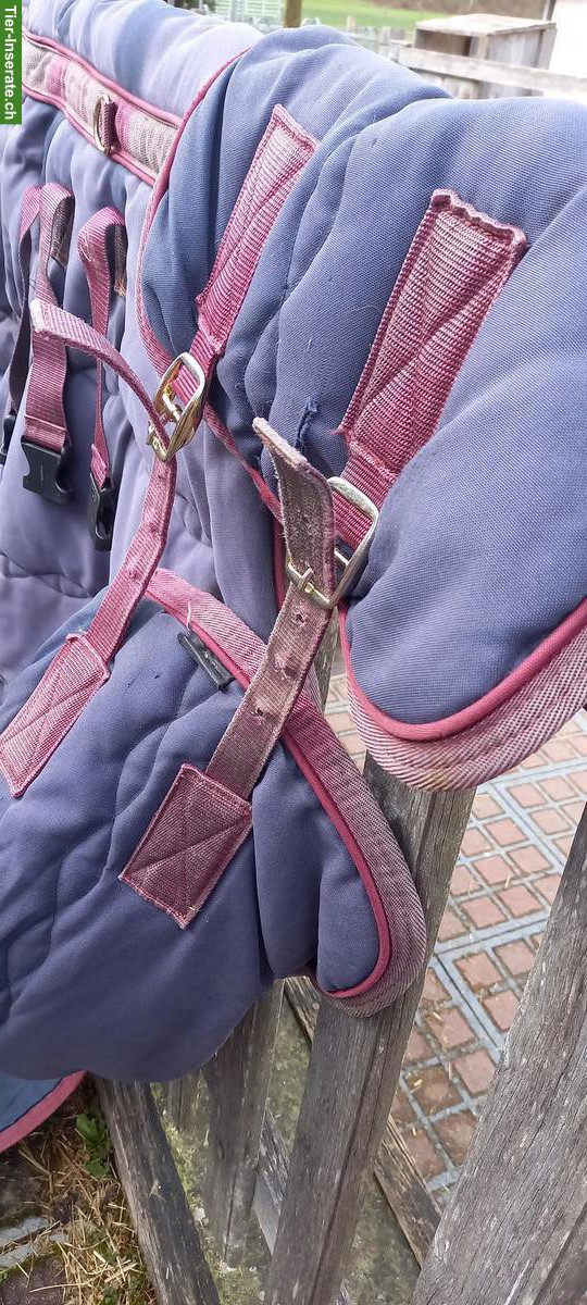 Bild 3: Ausreit-Fliegendecke, Fliegenausreitdecke, Stalldecke