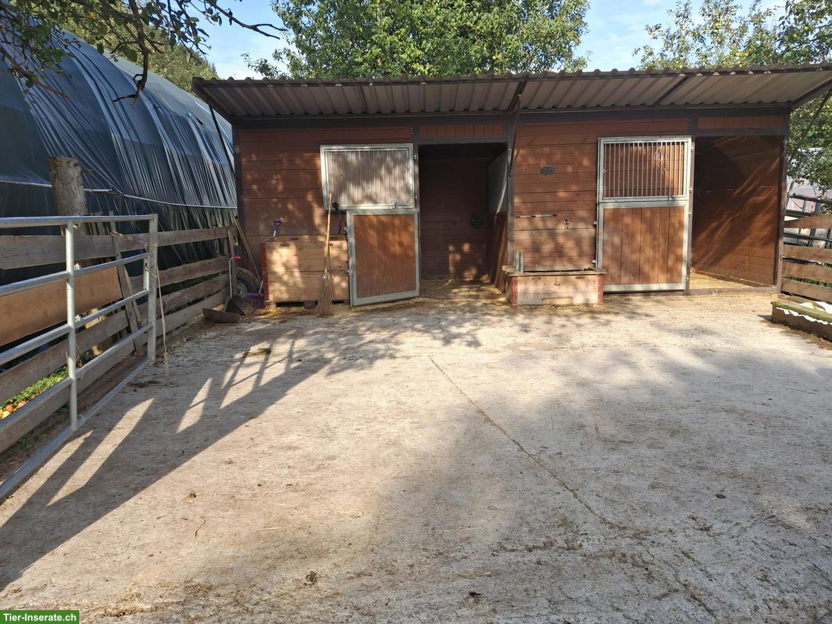 Bild 2: Auslaufbox mit täglichem Weidegang in Rüegsau BE