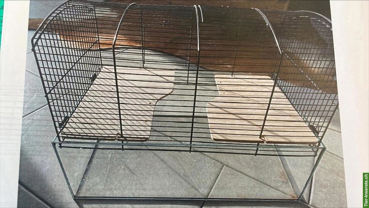 Terrarium mit Gitteraufsatz zu verkaufen