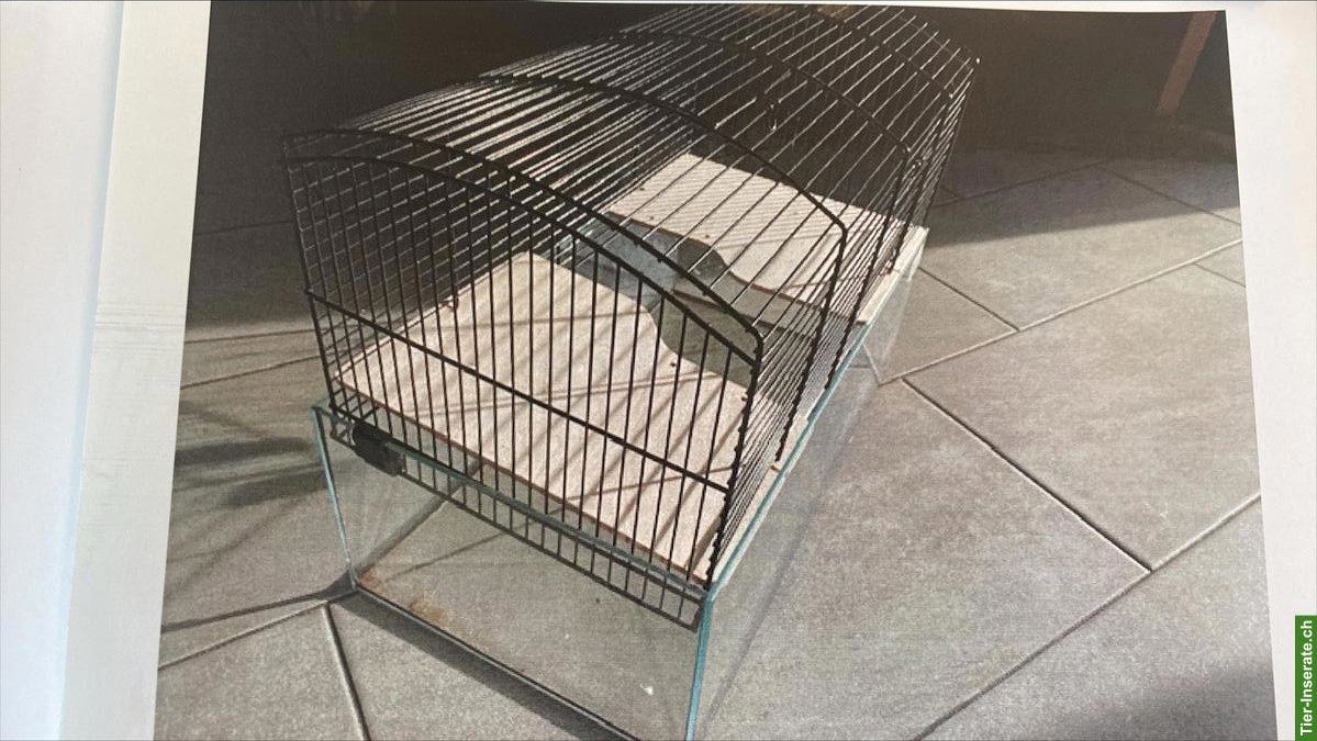 Bild 3: Terrarium mit Gitteraufsatz zu verkaufen