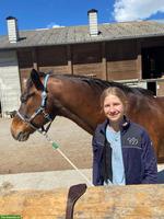 Suche Pony/Pferd als Reitbeteiligung Nähe Winterthur