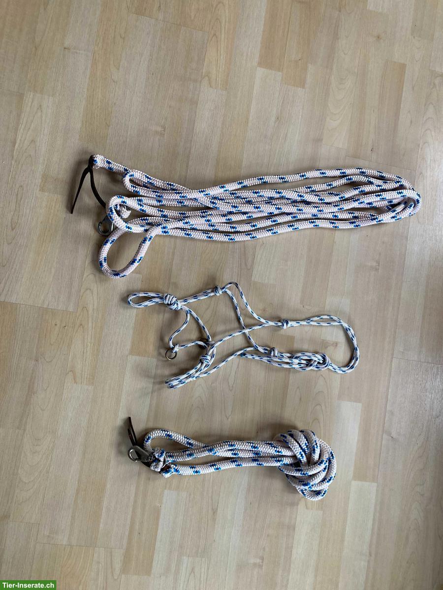 Knotenhalfter und Seile zu verkaufen
