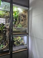 Terrarien mit Stahlgestell zu verkaufen