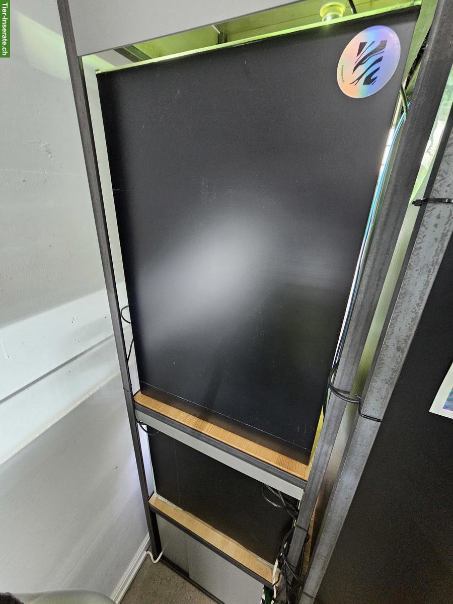 Bild 4: Terrarien mit Stahlgestell zu verkaufen