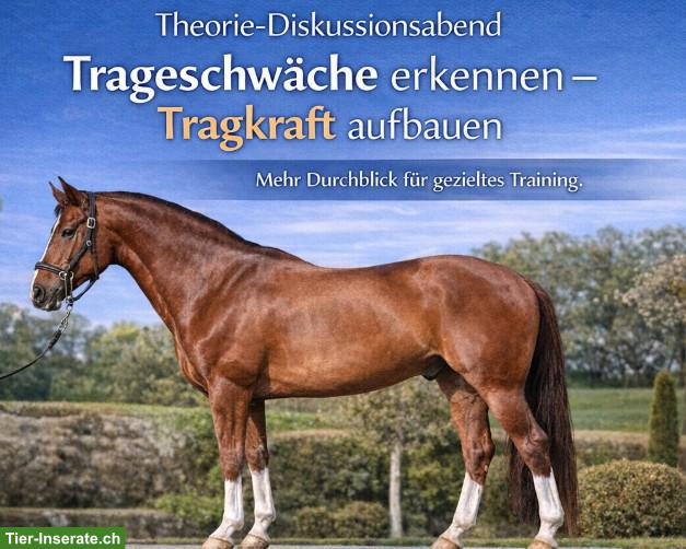 Abendseminar: Trageschwäche beim Pferd erkennen - Tragkraft fördern