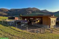 Freilaufboxe frei in Pferdepension in Zeglingen BL