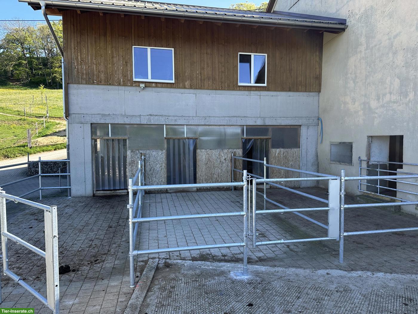 Bild 5: Freilaufboxe frei in Pferdepension in Zeglingen BL