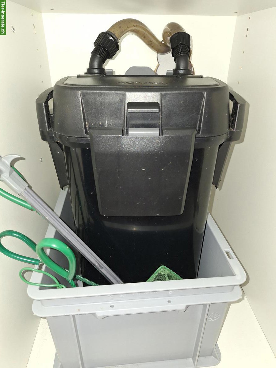 Bild 2: Aquarium Komplettset mit Fischen zu verkaufen