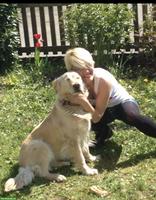 Bieten Hunde Ferien-/Tagesbetreuung, Gassi Service im Aargau