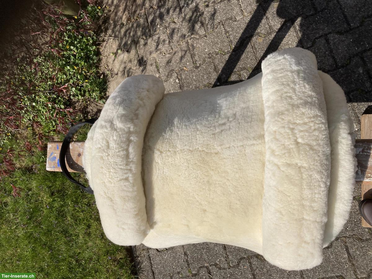 Bild 5: Christ Fellsattel zu verkaufen