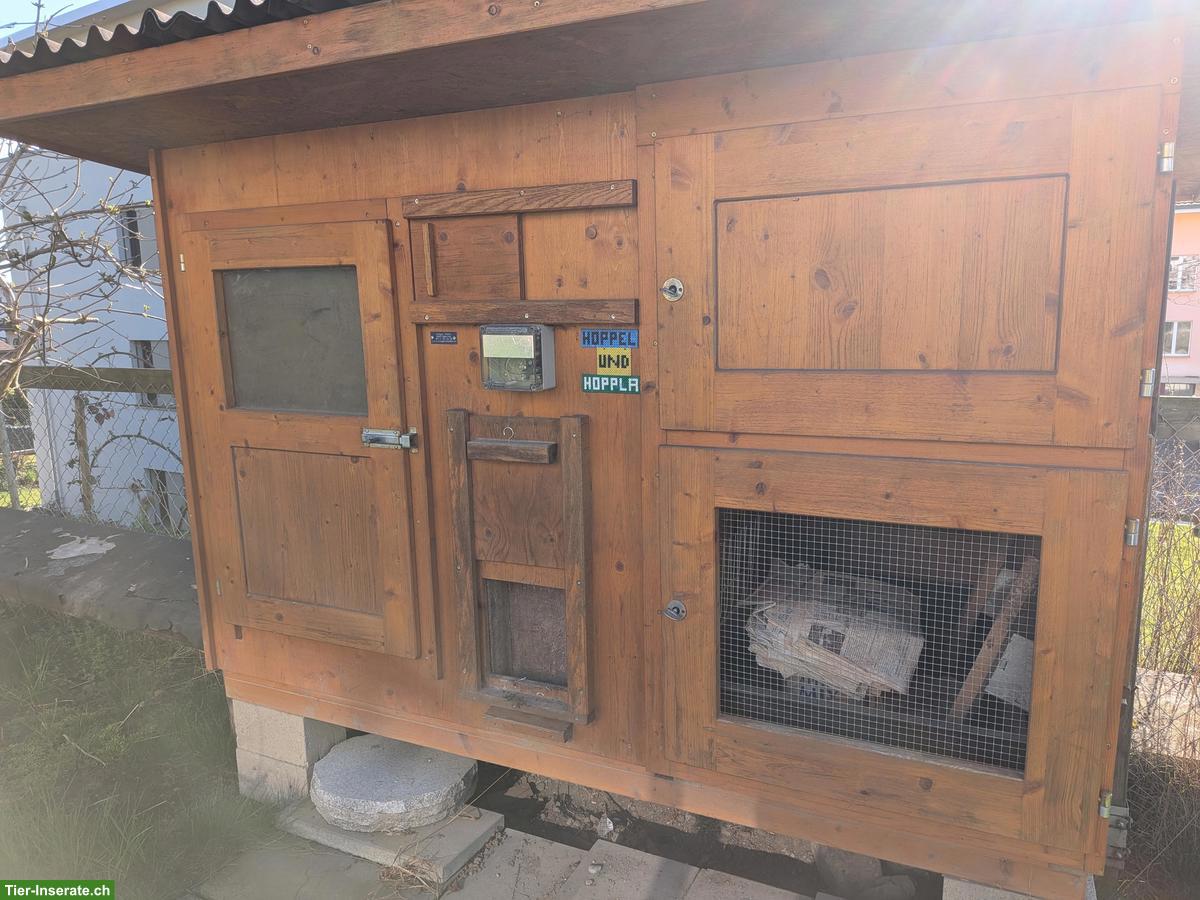 Kombi-Stall von Stieger für Hühner und Kaninchen