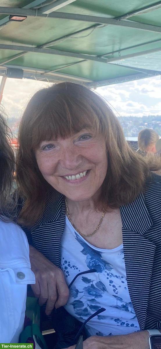 Biete Katzen- und Kleintiersitting in eurer Abwesenheit