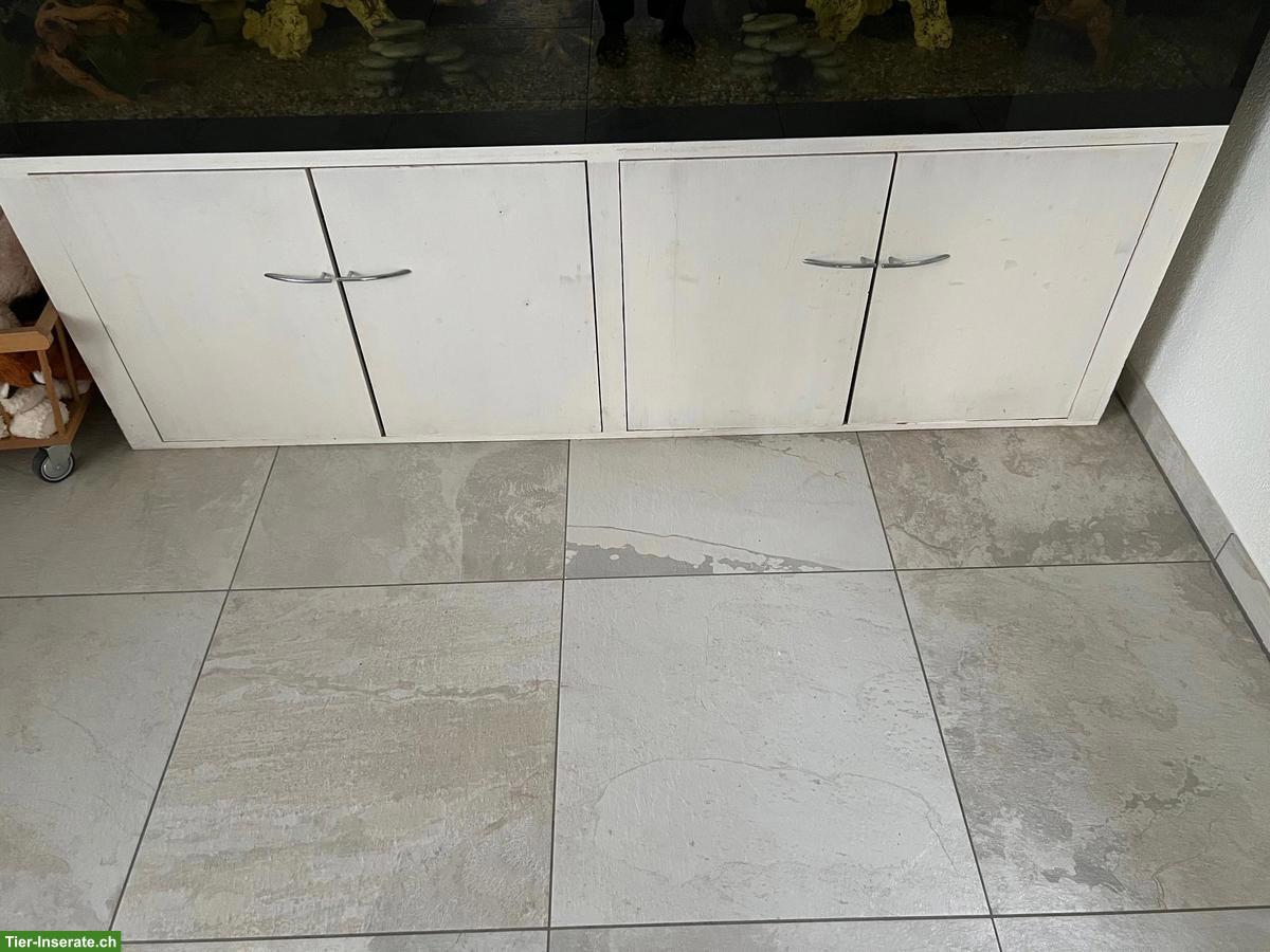 Bild 5: Grosses Aquarium mit Barschen + Welsen inkl. Möbel, Filter, Lampe