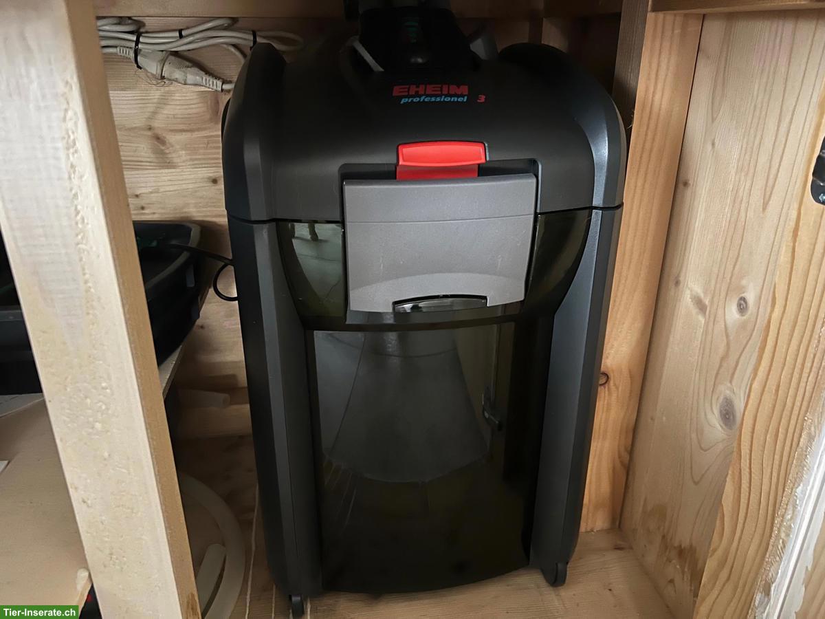 Bild 6: Grosses Aquarium mit Barschen + Welsen inkl. Möbel, Filter, Lampe