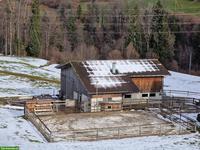 1 bis 2 pferdige Mitbewohner/innen GESUCHT, Toggenburg