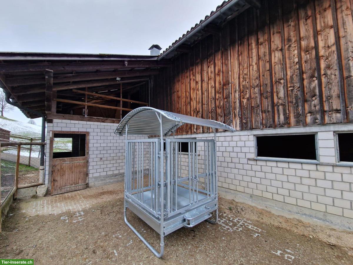 Bild 3: 1 bis 2 pferdige Mitbewohner/innen GESUCHT, Toggenburg