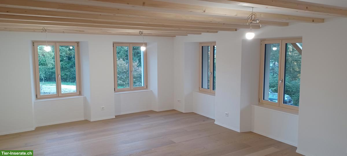 Bild 4: Renovierte 3.5 Zimmer Mietwohnung mit Pferdestall