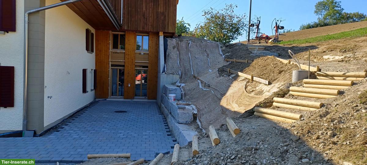 Bild 5: Renovierte 3.5 Zimmer Mietwohnung mit Pferdestall