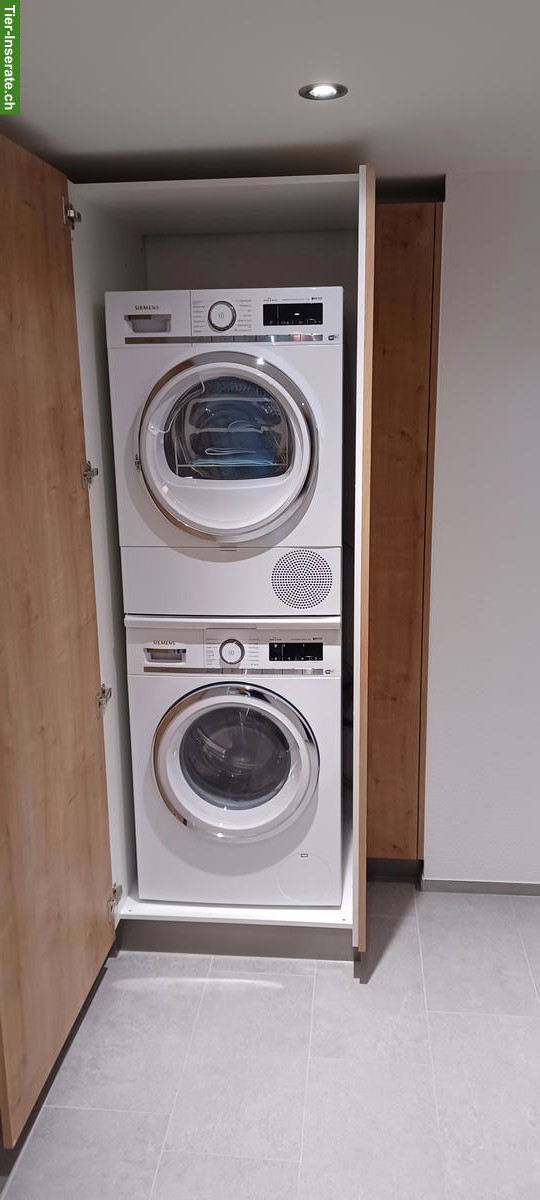 Bild 7: Renovierte 3.5 Zimmer Mietwohnung mit Pferdestall