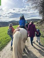 Lebenshof Wendy-Welt bietet Lebensplatz für Islandpferd
