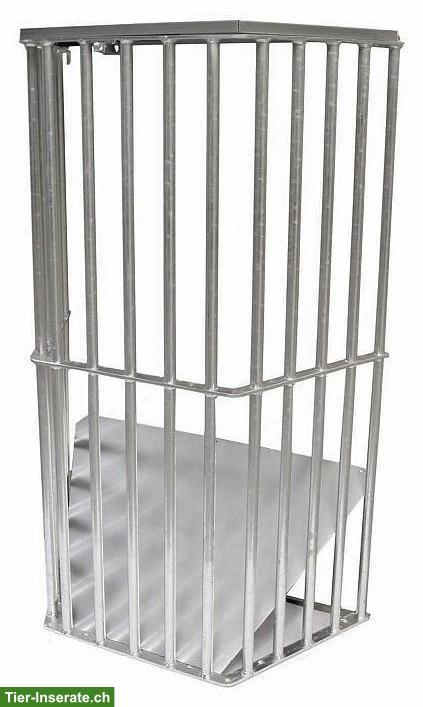 5 Pferdeboxen-Heuraufen Modell Lento zu verkaufen