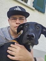 Mischlingshündin Maluk sucht ein neues zuhause