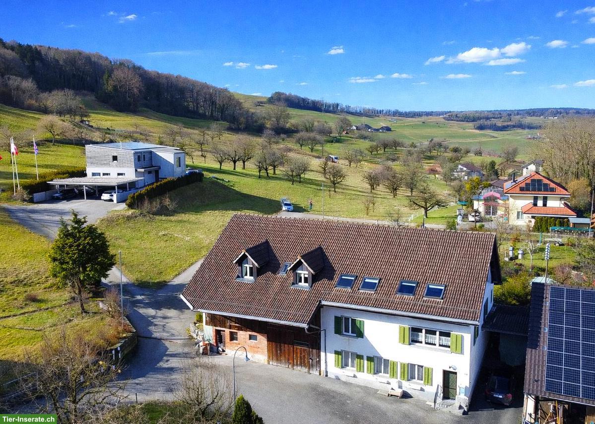 3-Familien-Bauernhaus mit Baulandreserve und Umschwung