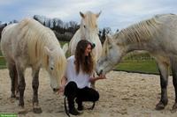Praktikumsstelle auf Pferdehof mit Camarguepferden im Berner Jura