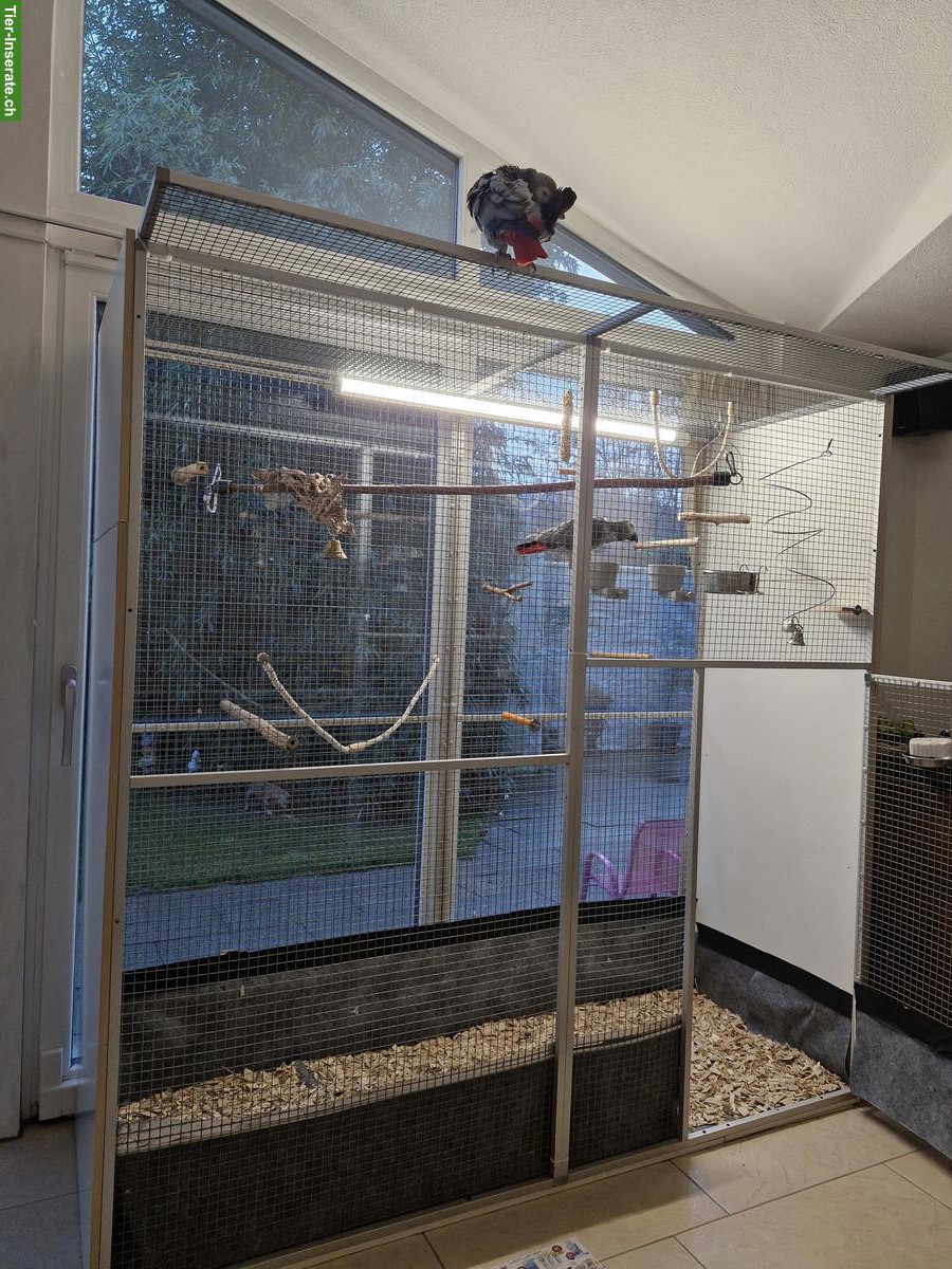 Bild 4: Vogelvoliere zu verkaufen, ideal für Papageien