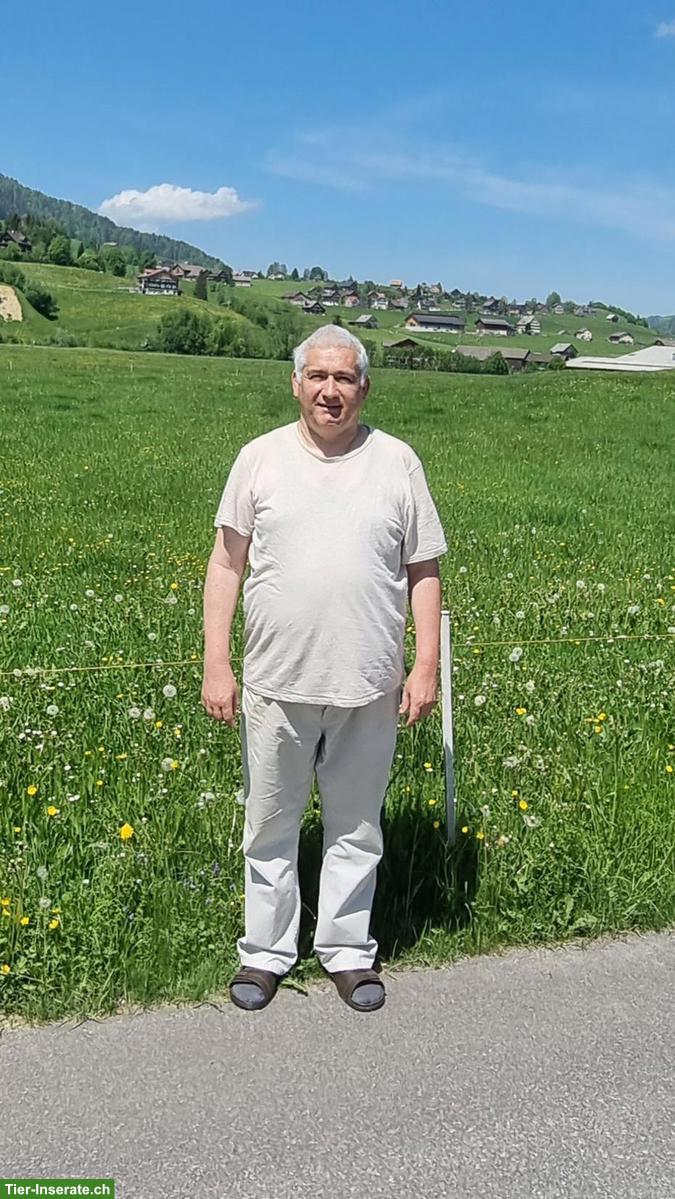 Herzenswunsch: 2½ - 3 Zimmer Wohnung GESUCHT