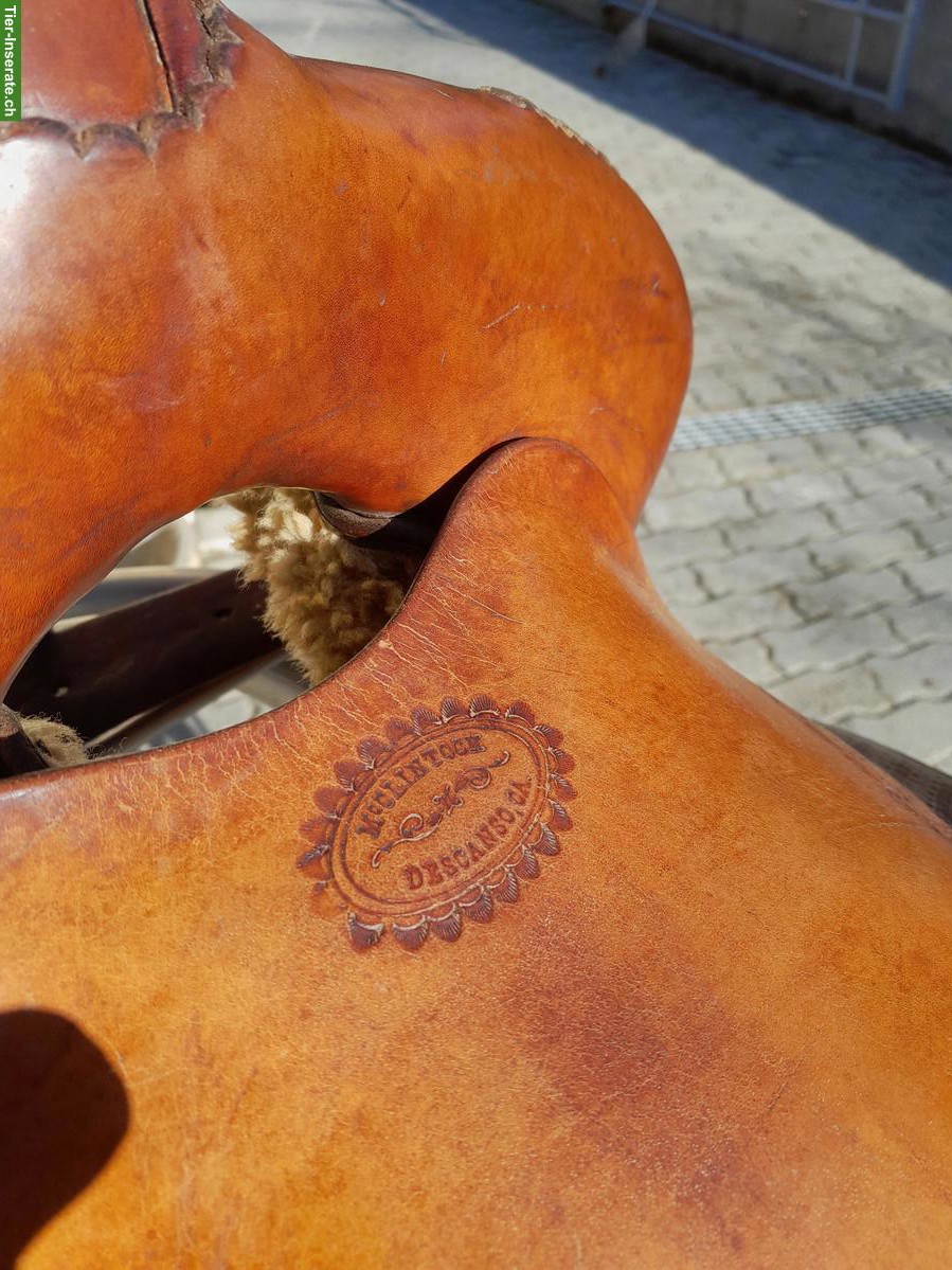 Bild 3: Kurzer Westernsattel, gebraucht, mit Caddy, Sitzfell und Pad