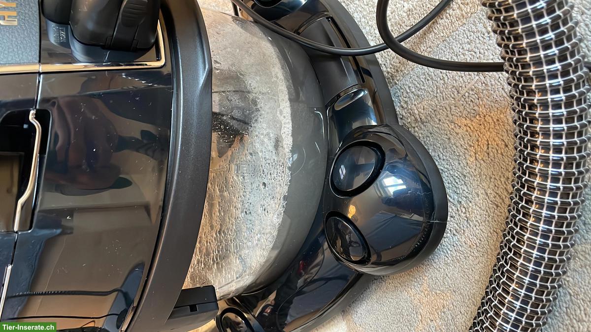 Bild 3: Tierhaare überall - ein einziges Gerät, das ...