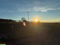 Job: Zuverlässige Stallhilfe in 3262 Kosthofen