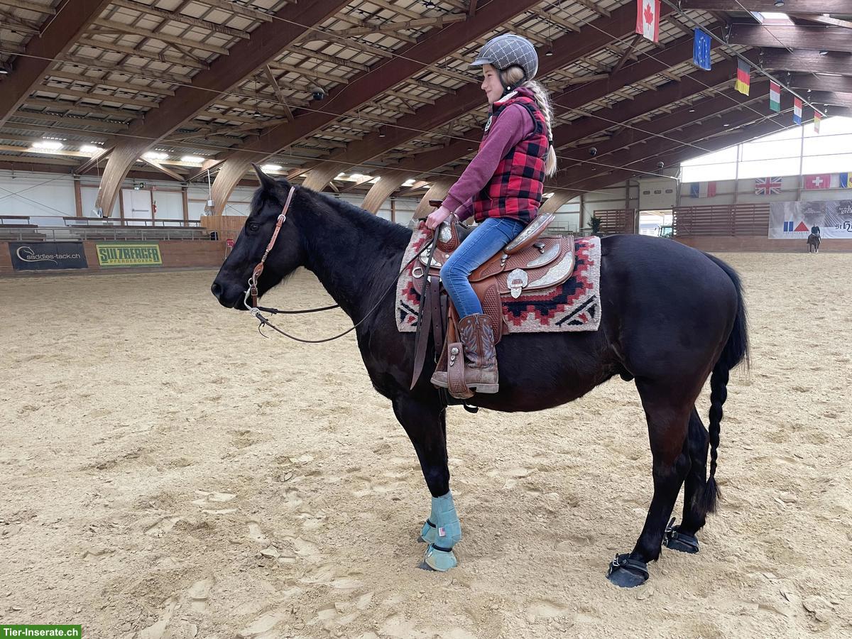 Bild 7: Pony Wallach, ein echtes Herzenspony sucht seinen Menschen