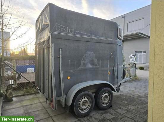 Bild 2: Pferdeanhänger ab MFK zu verkaufen