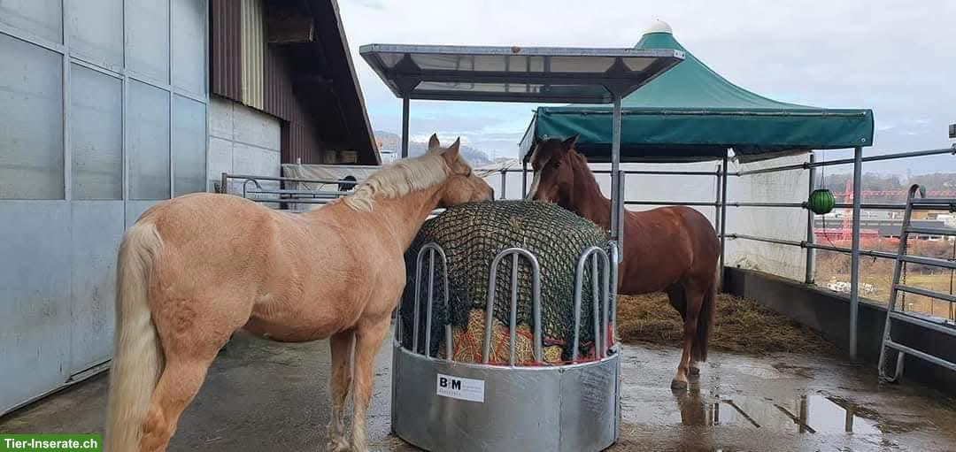 Offenstallplatz frei mit Nachtboxen, 24h Heu, Füllinsdorf BL