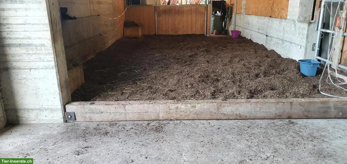 Bild 7: Offenstallplatz frei mit Nachtboxen, 24h Heu, Füllinsdorf BL