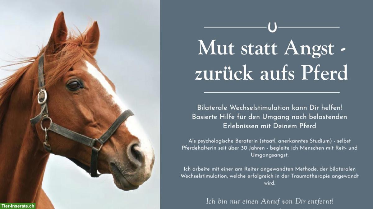 Schluss mit der Angst vorm Pferd!