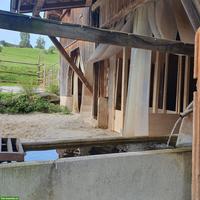 Freie Pferdepensions- und Ausbildungsplätze in Horgen ZH